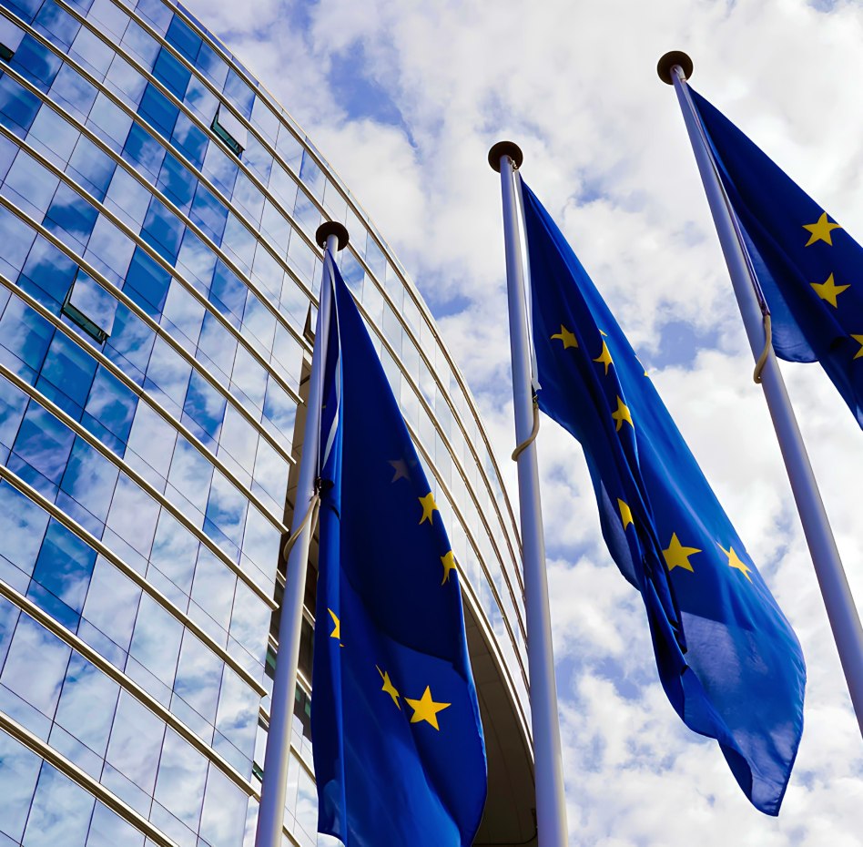 Присвоение статуса гражданина ЕС